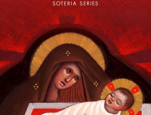 Love Took Flesh: Nativity Letters (Soteria Book 1)